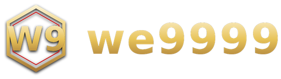 we9999 logo